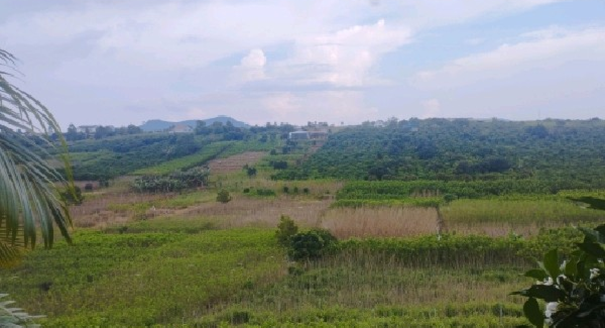 4779 M2 ĐẤT MẶT TIỀN ĐƯỜNG BETONG 5M, XÃ LIÊN HIỆP