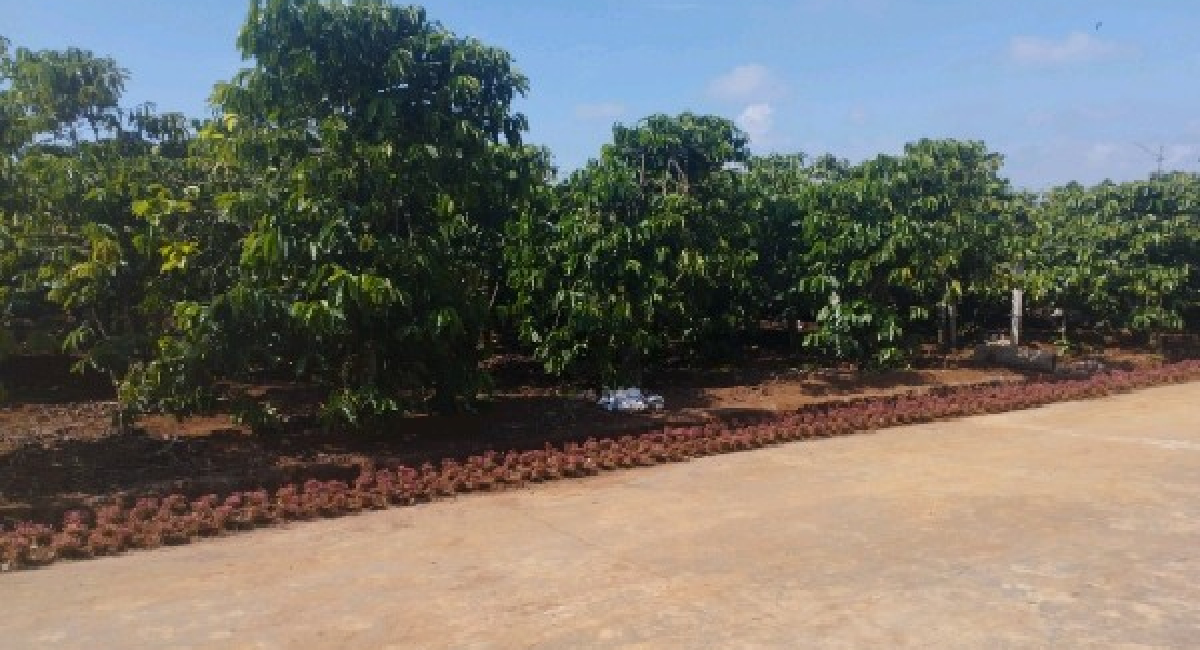 4000m2 đất thổ cư, gần cổng vàng xã Liên Hiệp, Đức Trọng