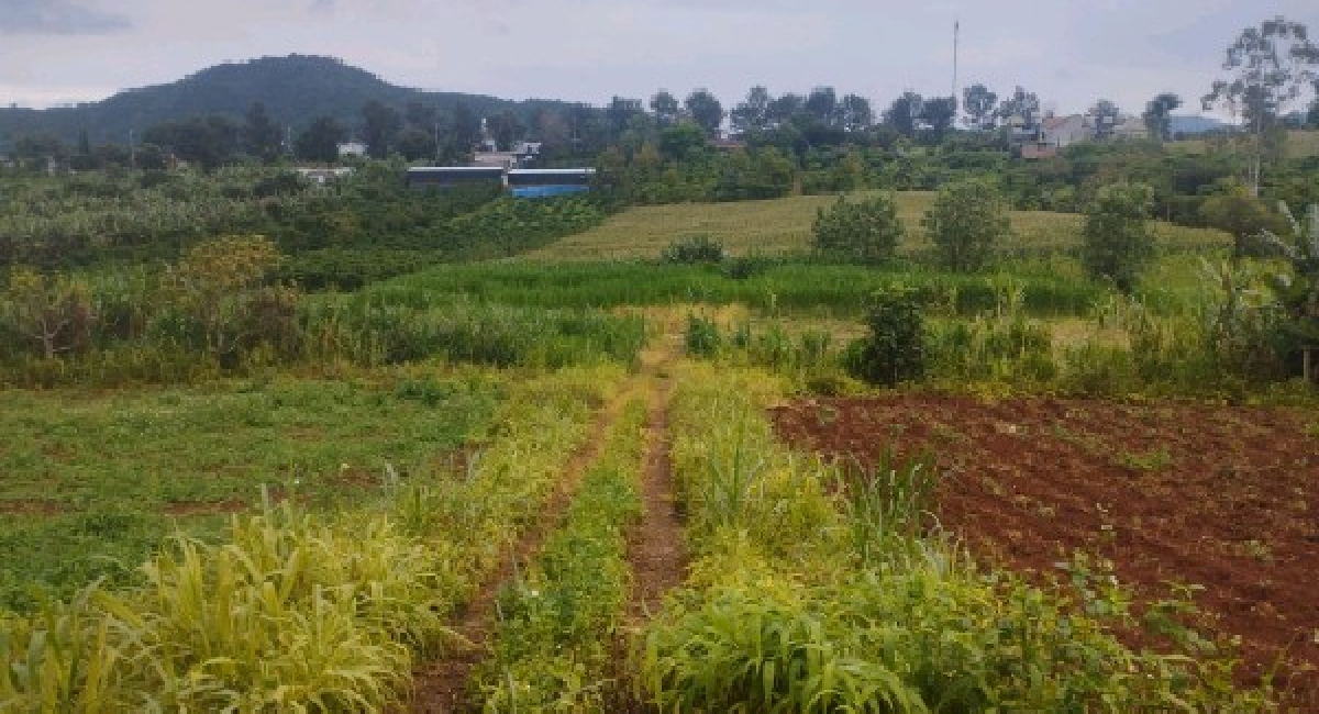 CẦN BÁN 2154M2 ĐẤT XÃ LIÊN HIỆP GIÁ CHỈ 1TỶ 077