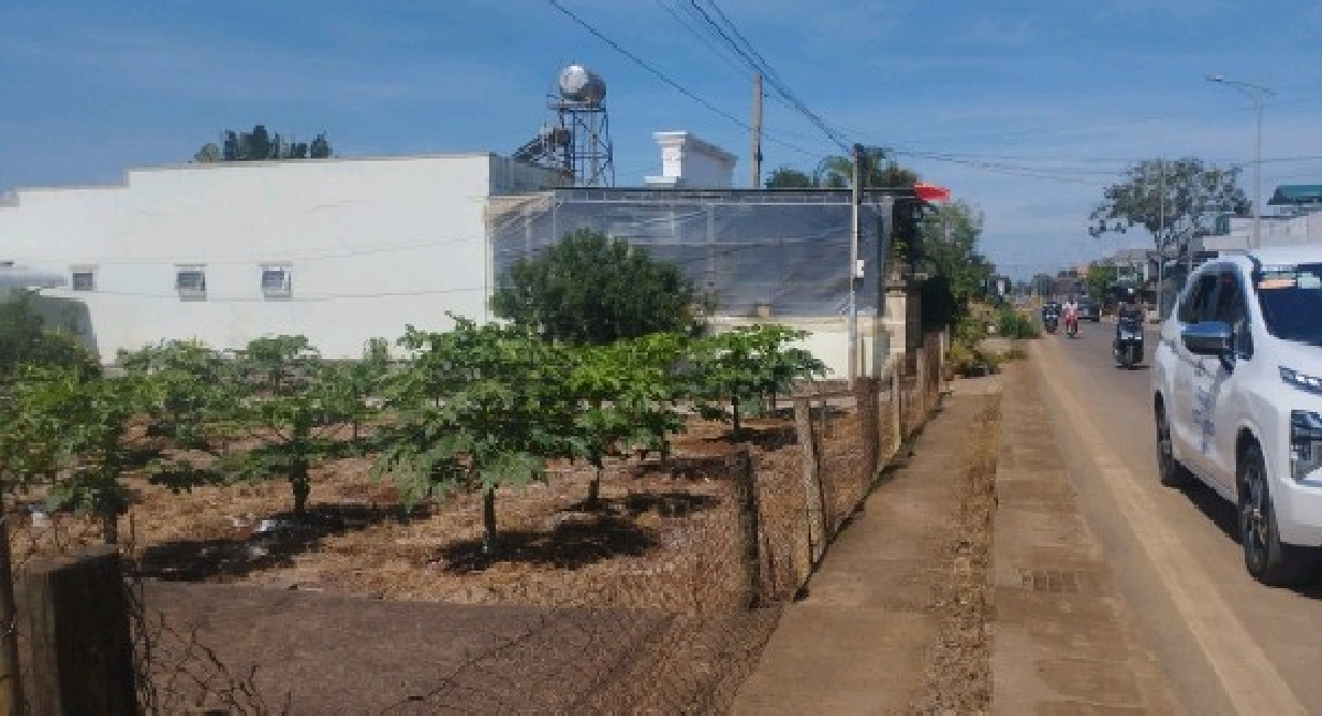 500M2 ĐẤT MẶT TIỀN ĐƯỜNG PHẠM NGŨ LÃO, LIÊN NGHĨA, ĐỨC TRỌNG