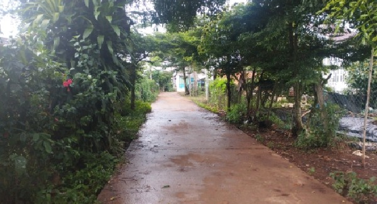 3000M2 ĐẤT ĐỐI DIỆN TRƯỜNG CẤP 3 HOÀNG HOA THÁM, ĐỨC TRỌNG