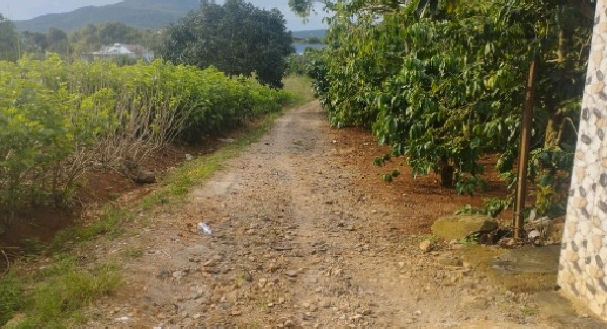 Đất thổ cư ngay trường cấp 2 An Hiệp, Đức Trọng