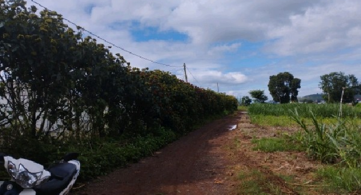 CẦN BÁN 6 SÀO ĐẤT XÃ LIÊN HIỆP, CÁCH ĐƯỜNG TRÁNH QL27 CHỈ 500M