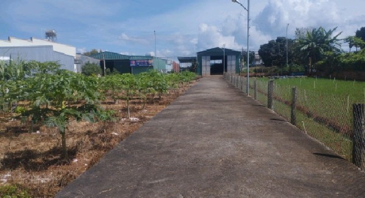 226m2 ĐẤT TRUNG TÂM THỊ TRẤN LIÊN NGHĨA