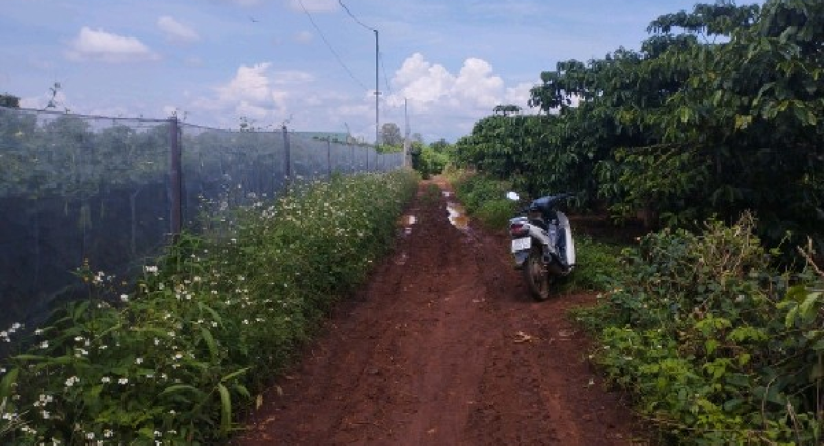 5 SÀO ĐẤT GẦN TRƯỜNG CẤP 2 NTHOL HẠ, CÁCH TRỤC ĐƯỜNG CHÍNH CHỈ 900M