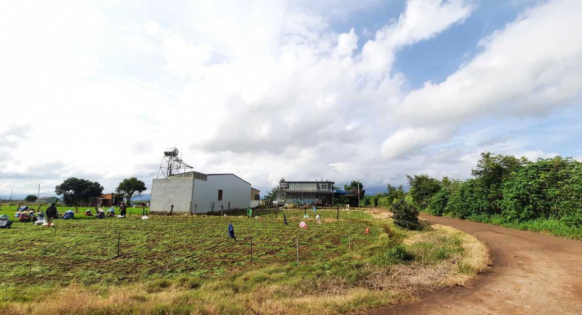 102M2 ĐẤT NGAY KHU HÀNH CHÍNH, THỊ TRẤN LIÊN NGHĨA