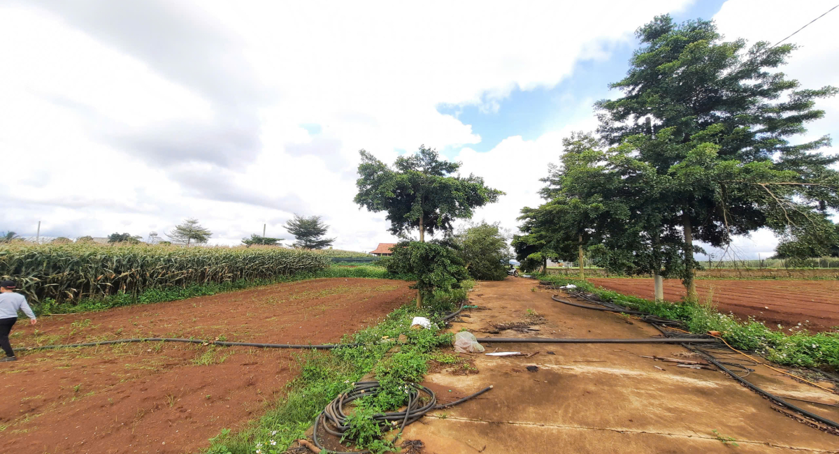 CẦN BÁN LÔ GÓC 3 MẶT TIỀN TỔ 34 – LIÊN NGHĨA, ĐỨC TRỌNG