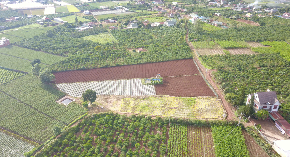 6059M2 ĐẤT THỔ CƯ – LIÊN HIỆP, ĐỨC TRỌNG