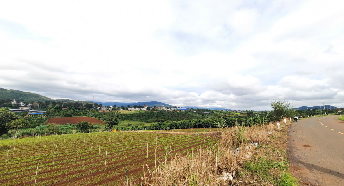 Đất sào Liên Hiệp Đức Trọng, view ngắm máy bay 1950m2