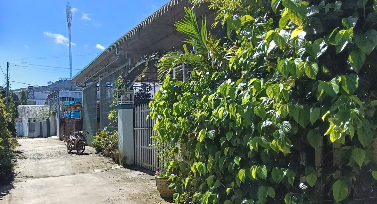 Bán 2 lô đất có 11 phòng trọ đang kinh doanh, TT Liên Nghĩa, cách ql20 200m, gần  TTYT Đức Trọng