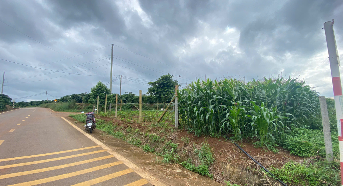 ĐẤT NGAY THÁC VINH SƠN- ĐỨC TRỌNG, MẶT TIỀN ĐƯỜNG NHỰA LỚN 8M