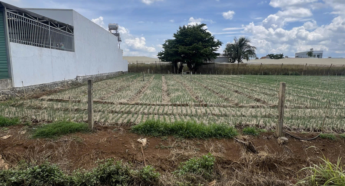 Đất tổ 32, Liên Nghĩa, Đức Trọng, Lâm Đồng