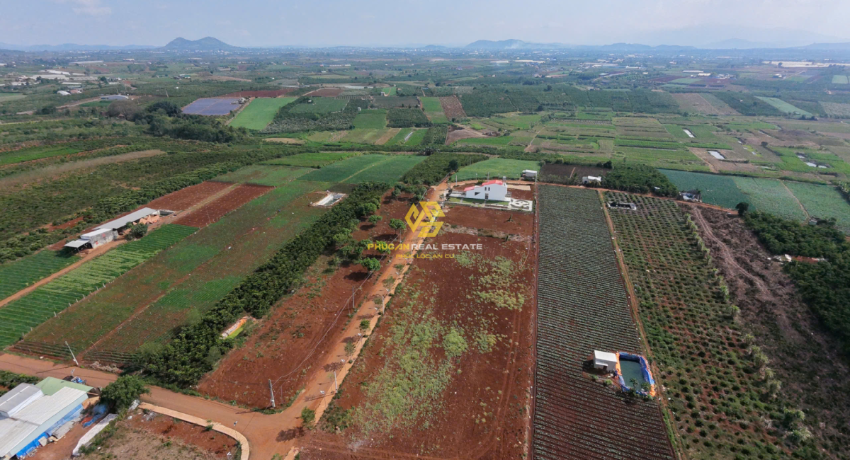 ĐẤT NỀN LÀNG THANH BÌNH – Ven Đà Lạt, Gần sân bay Liên Khương, Đón sóng hạ tầng với mức giá chỉ 3,7 Triệu/m2