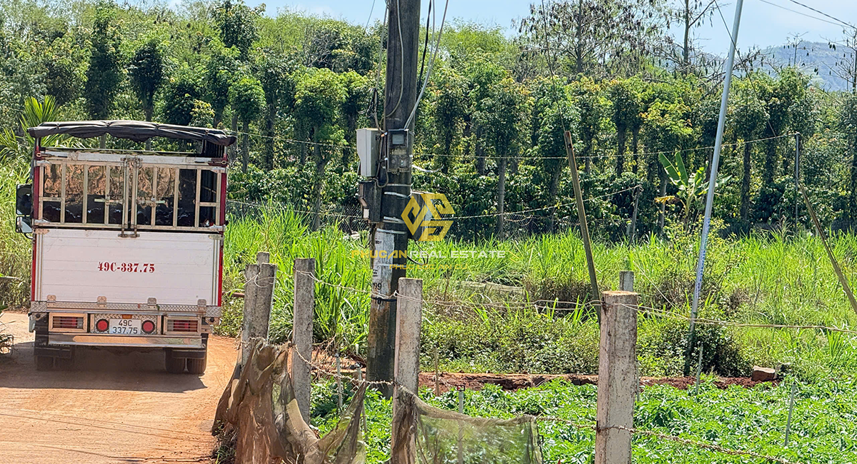 ĐẤT NỀN THỔ CƯ NGAY TÂN HỘI - ĐỨC TRỌNG GIÁ BÁN 650TR (BAO THUẾ PHÍ)