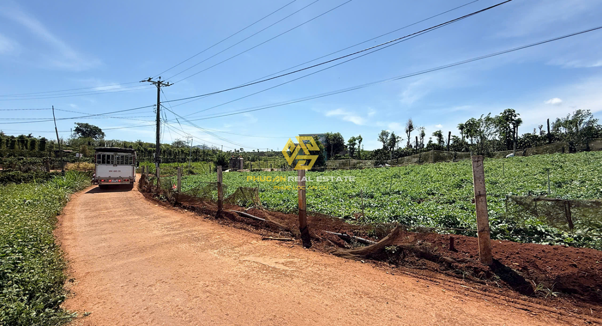 ĐẤT NỀN THỔ CƯ NGAY TÂN HỘI - ĐỨC TRỌNG GIÁ BÁN 650TR (BAO THUẾ PHÍ)