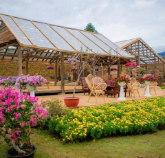 7 điểm du lịch Đà Lạt hè 2025 – đẹp mê mẩn, vui chơi hấp dẫn cho hội bạn thân