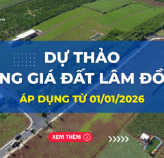 Dự thảo bảng giá đất Lâm Đồng áp dụng từ 1/1/2026
