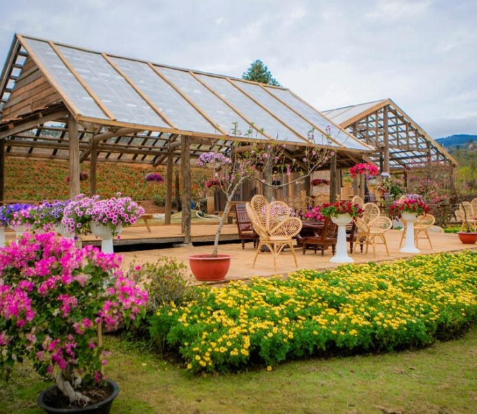 7 điểm du lịch Đà Lạt hè 2025 – đẹp mê mẩn, vui chơi hấp dẫn cho hội bạn thân