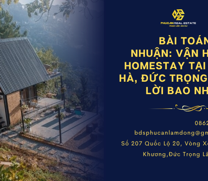 Bài toán lợi nhuận: Vận hành Homestay tại Lâm Hà, Đức Trọng thu lời bao nhiêu?