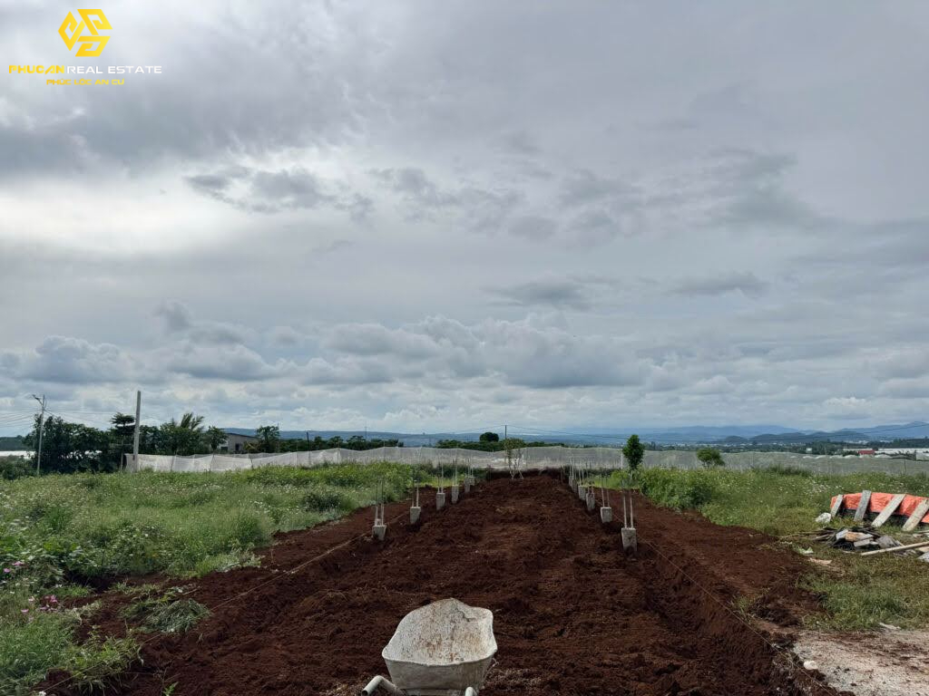 Cập nhật ngày 29/10/2025